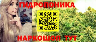 прущие грибы Комсомольск-на-Амуре