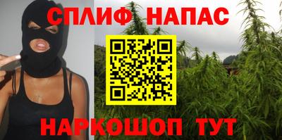 прущие грибы Комсомольск-на-Амуре
