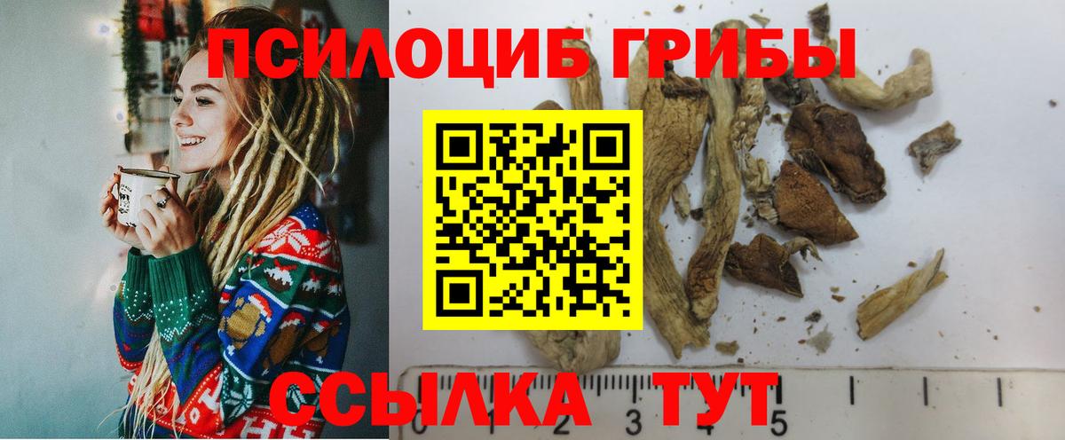 Ирбит  Галлюциногенные грибы GOLDEN TEACHER  Вход с VPN  Псилоцибиновые грибы GOLDEN TEACHER 